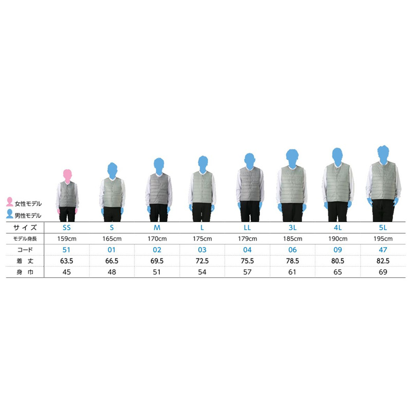 サイズ比較