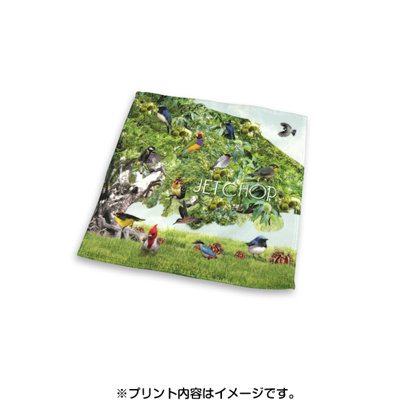 ハンカチタオル商品イメージ