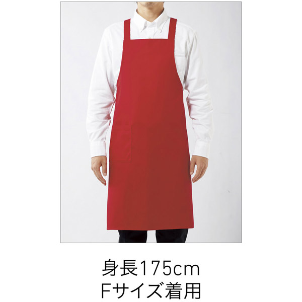着用イメージ　正面　モデル身長175cm