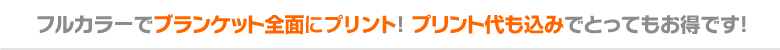 フルカラーでブランケット全面にプリント! プリント代も込みでとってもお得です!