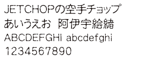 J-30　康印体